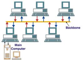 Bus Network with Backbone